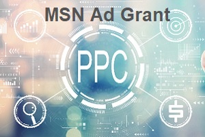 Image with words MSN Ad Grant - PPC